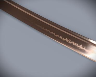 Reikon no Ken Katana mit 12x gefalteter Klinge Feng Lin Handgeschmiedetes Samurai Schwert